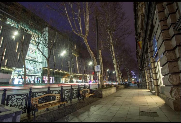 Rustaveli Apartment City Centre Tbilisi Ngoại thất bức ảnh